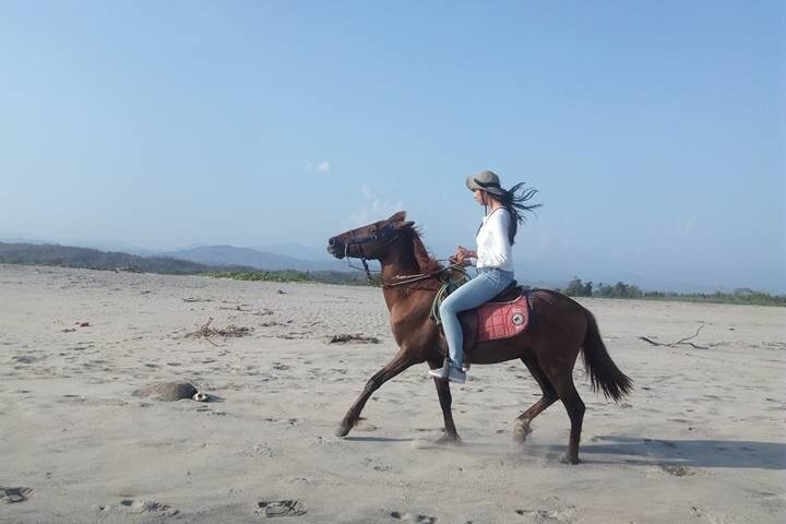 VIVE TOURS OAXACA-Mazunte必去景点