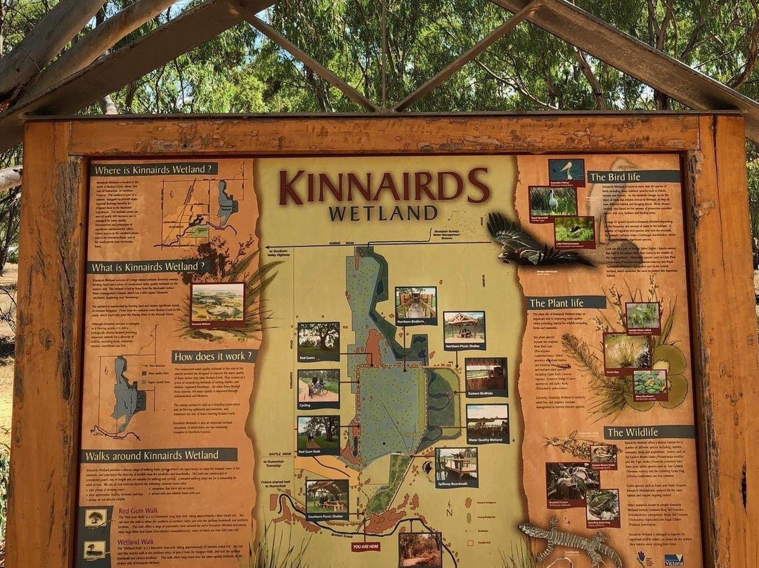 Kinnairds Wetland景点图片