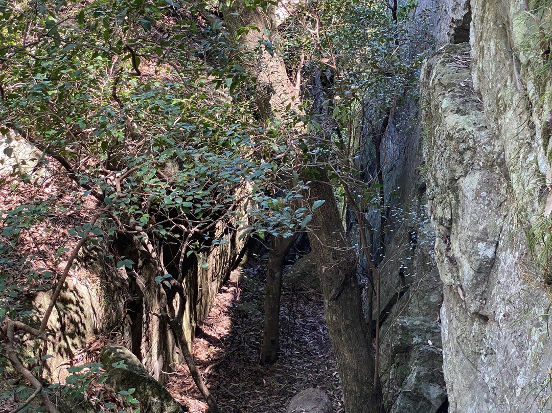 Grotto Walk-North Nowra必去景点