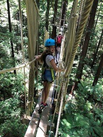 Redwoods Altitude-罗托鲁瓦必去景点