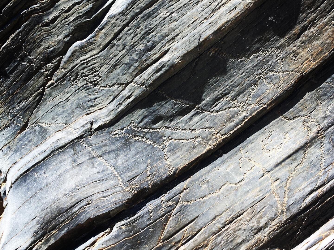 Siega Verde Archaeological Site景点图片