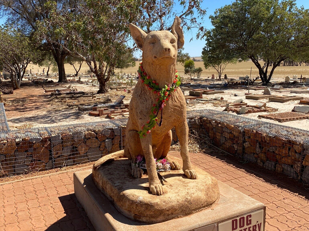 Corrigin Dog Cemetery景点图片