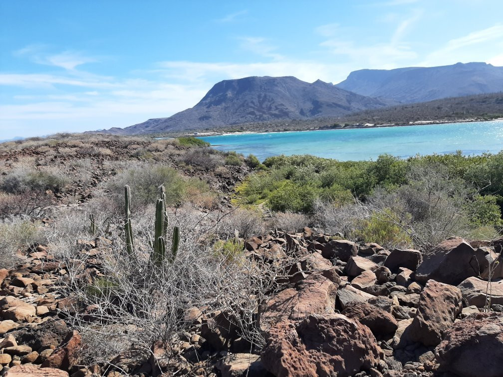 Playa el Requeson-洛雷托必去景点