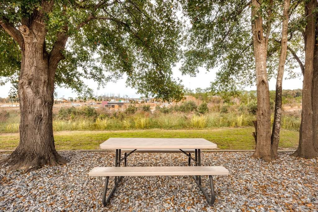 Super 8 by Wyndham Crestview主图