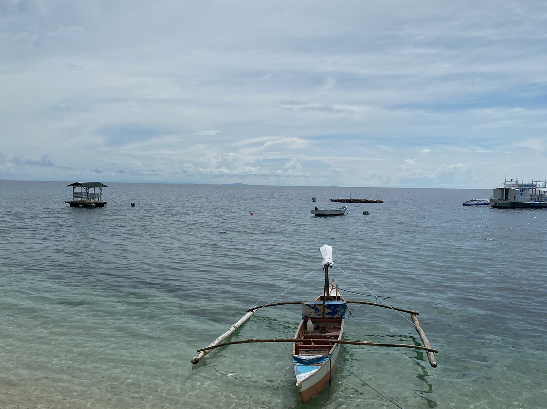 Dive Spot Asia & Brumini Beach Resort主图