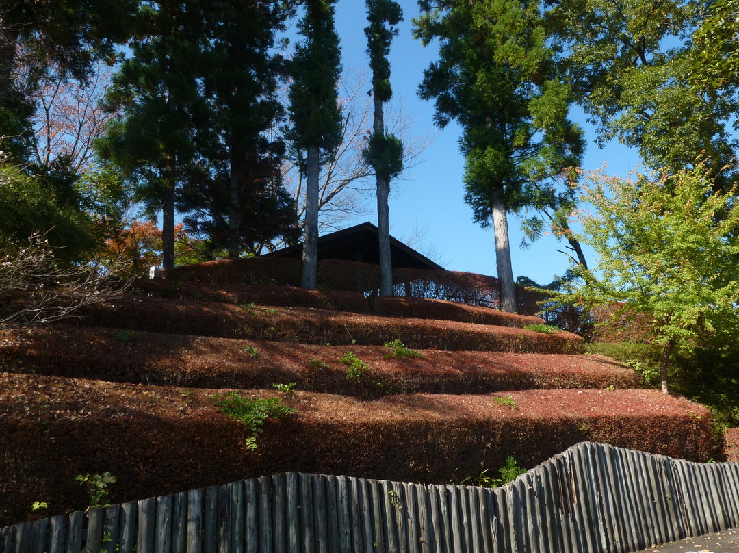 Jomine Park-神川町必去景点