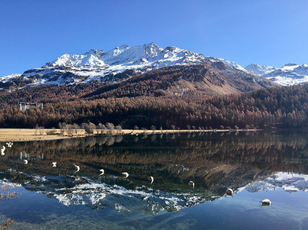 Lake Sils-Sils im Engadin必去景点