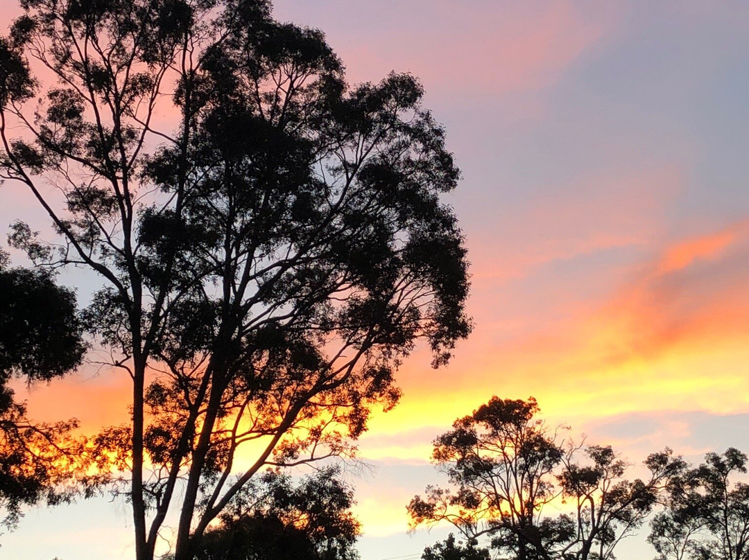 Warrumbungles Mountain Motel主图