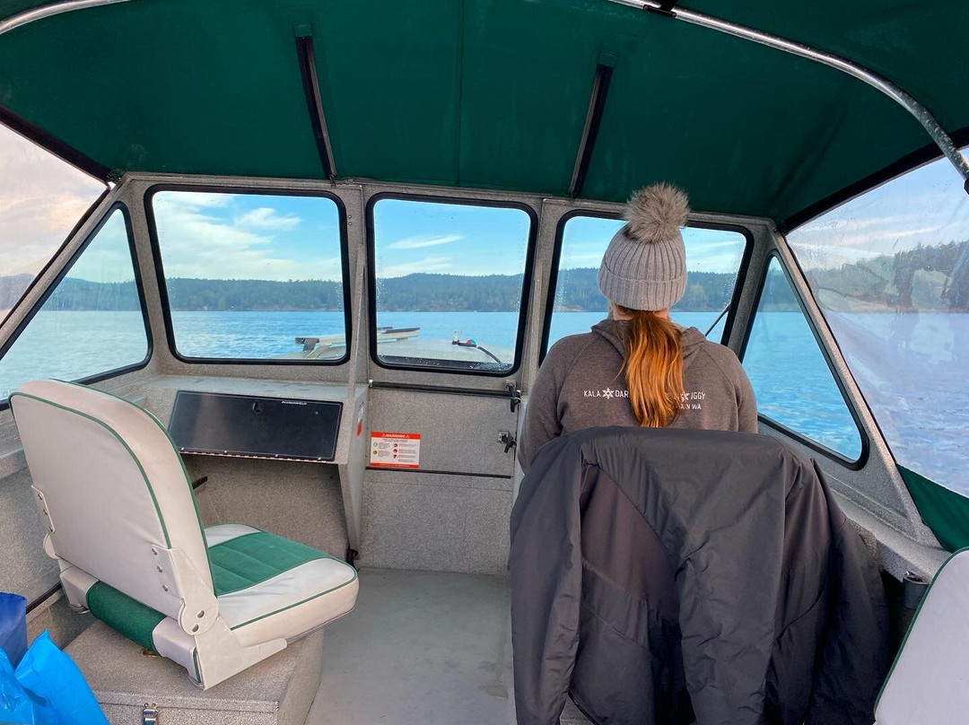 Friday Harbor Boat Rentals-星期五港湾必去景点