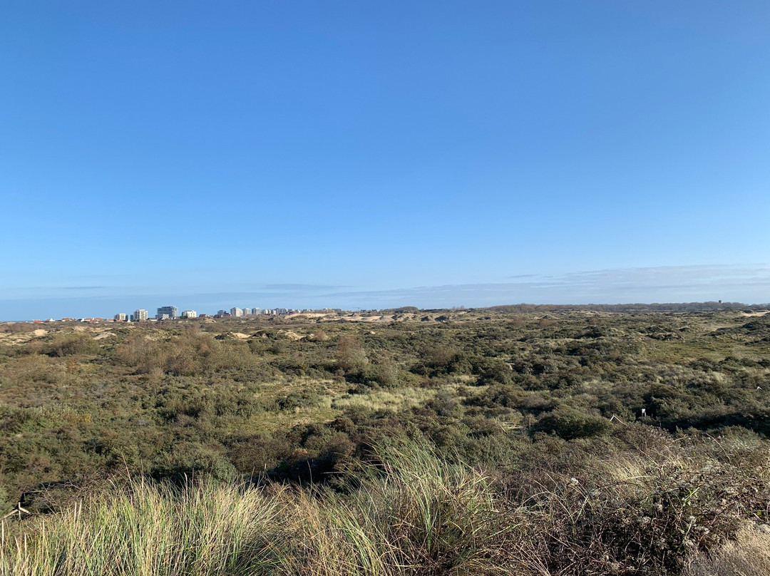 Nature Reserve of Westhoek-德潘尼必去景点