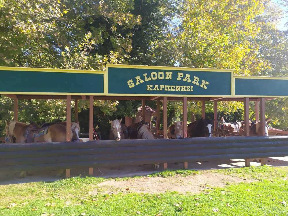 Saloon Park-卡尔派尼西必去景点