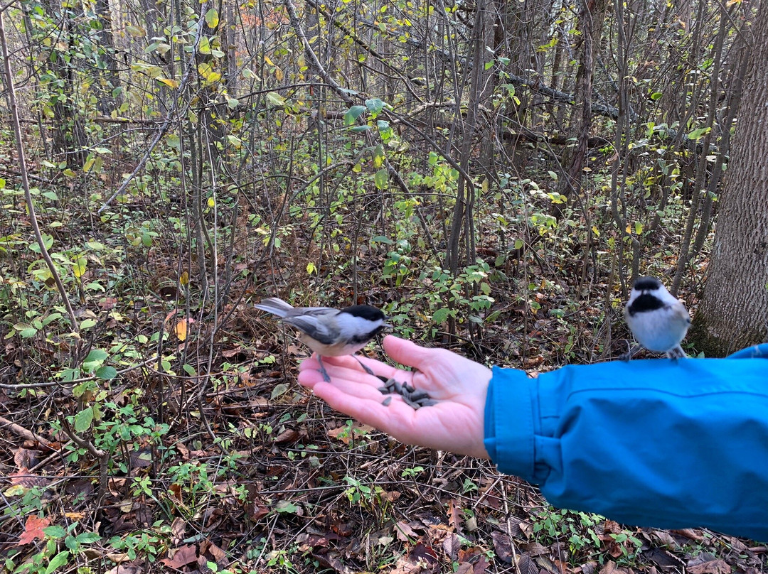 Wye Marsh Wildlife Centre-Midland必去景点