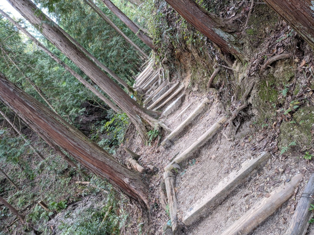 Hoshi no Buranko Bridge-交野市必去景点