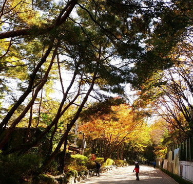 Gwanaksan Mountain-首尔必去景点