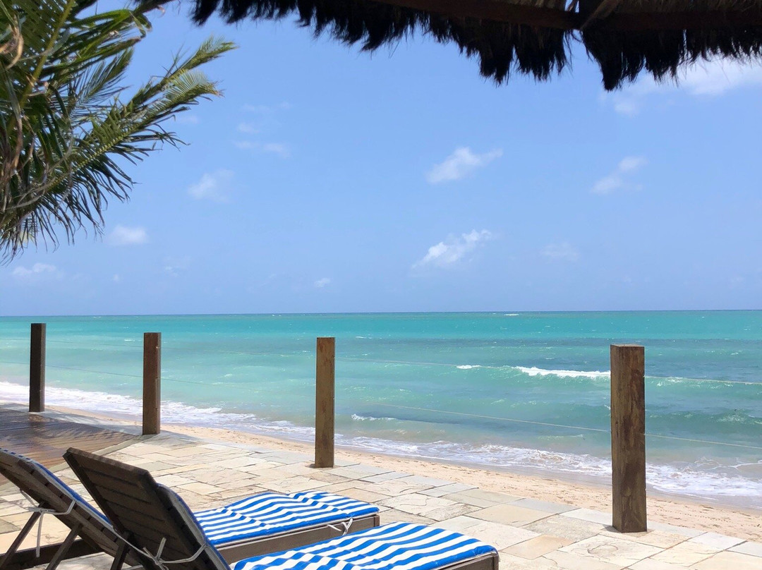 Carneiros Paradiso主图