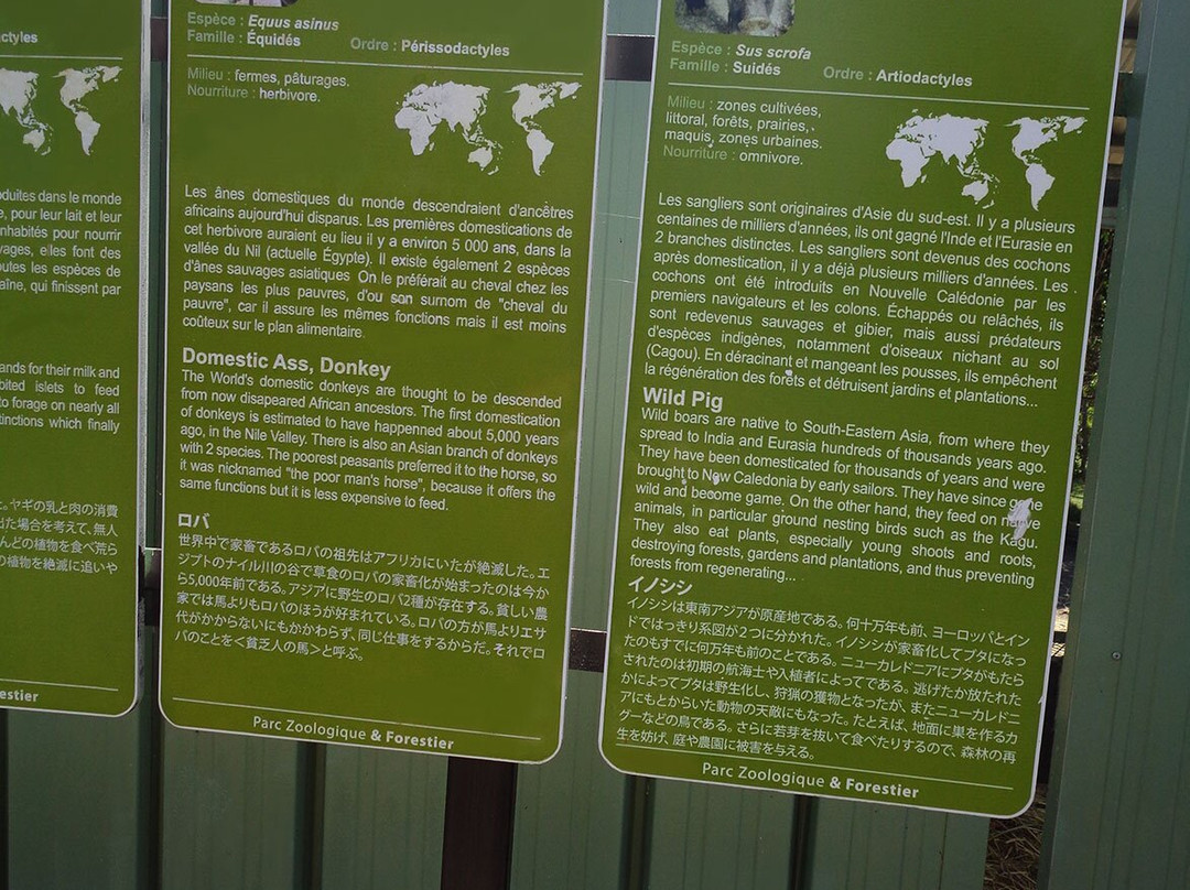 Parc zoologique et forestier-努美阿必去景点