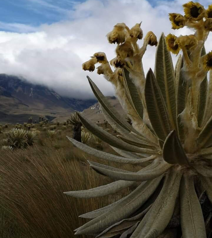 Nevados Santa Isabel-Manizales必去景点