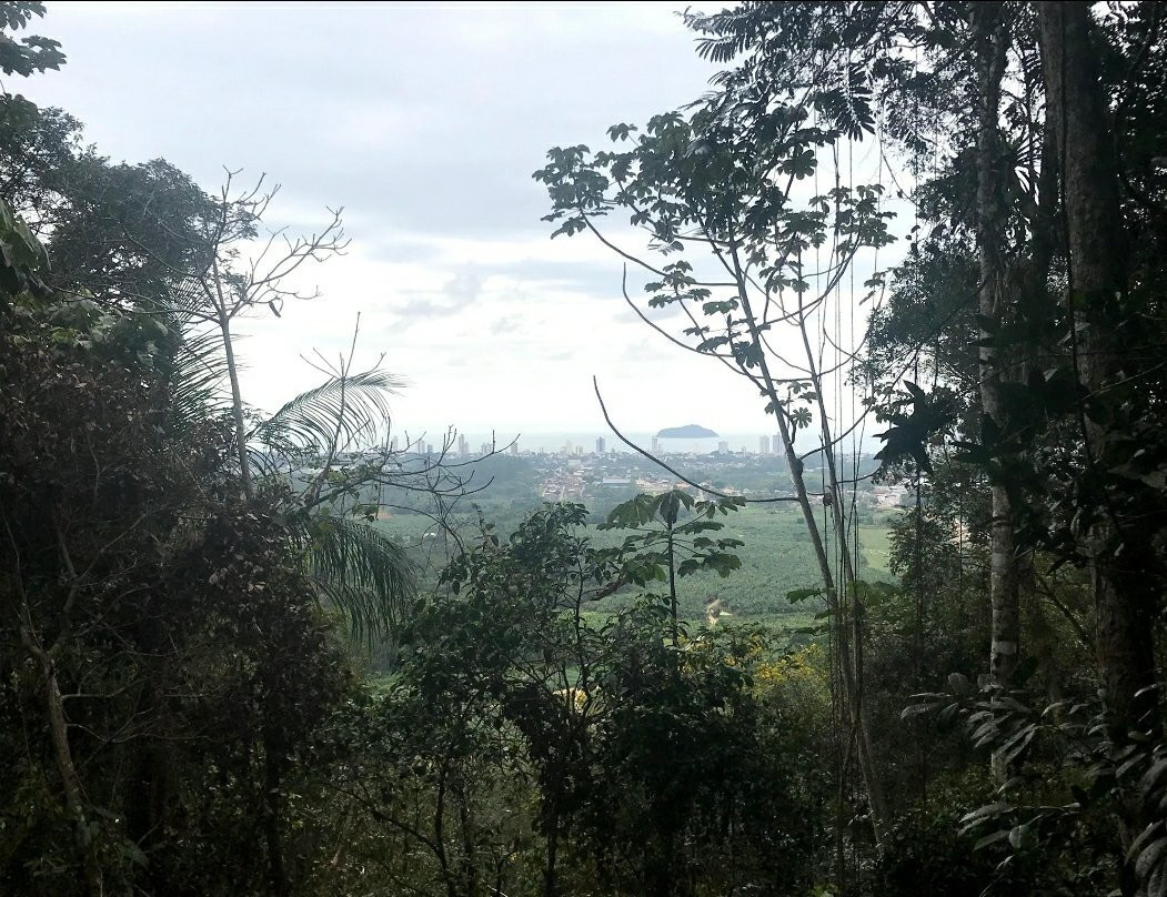 Trilha Ecológica No Morro Do Quininho景点图片