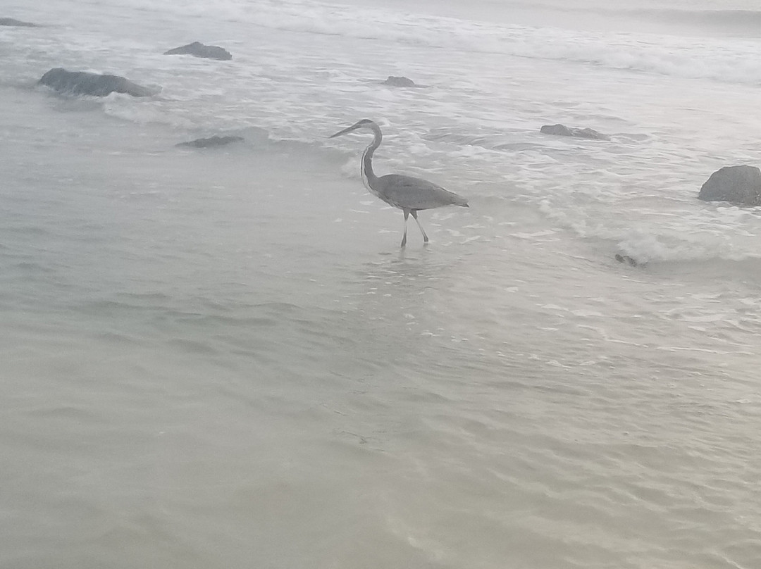 Carousel Suites主图