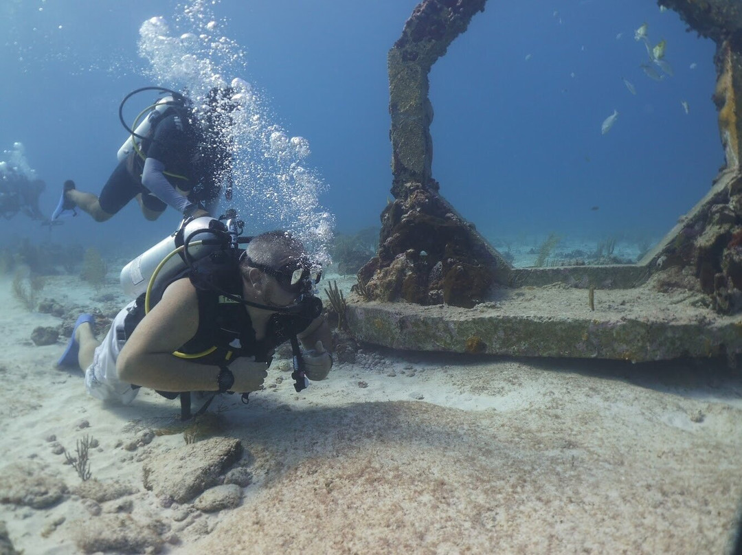 Playa Mujeres Trips and Tours景点图片