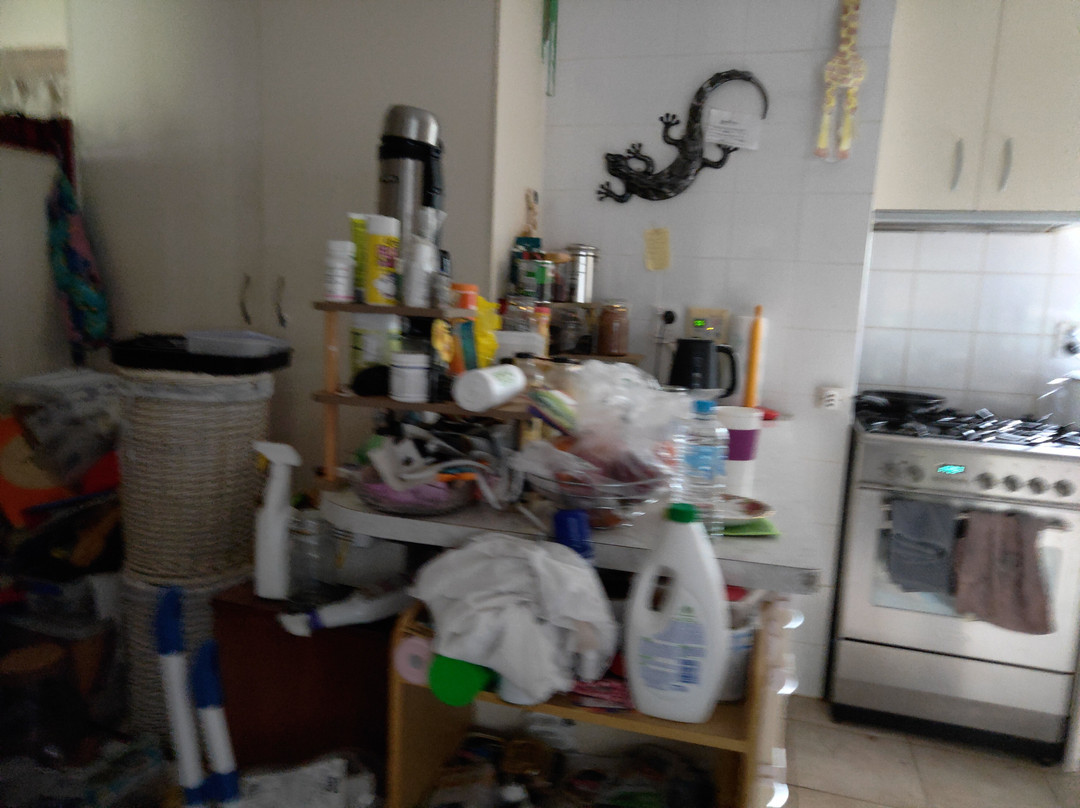 Tranquility Homestay Bed & Breakfast主图