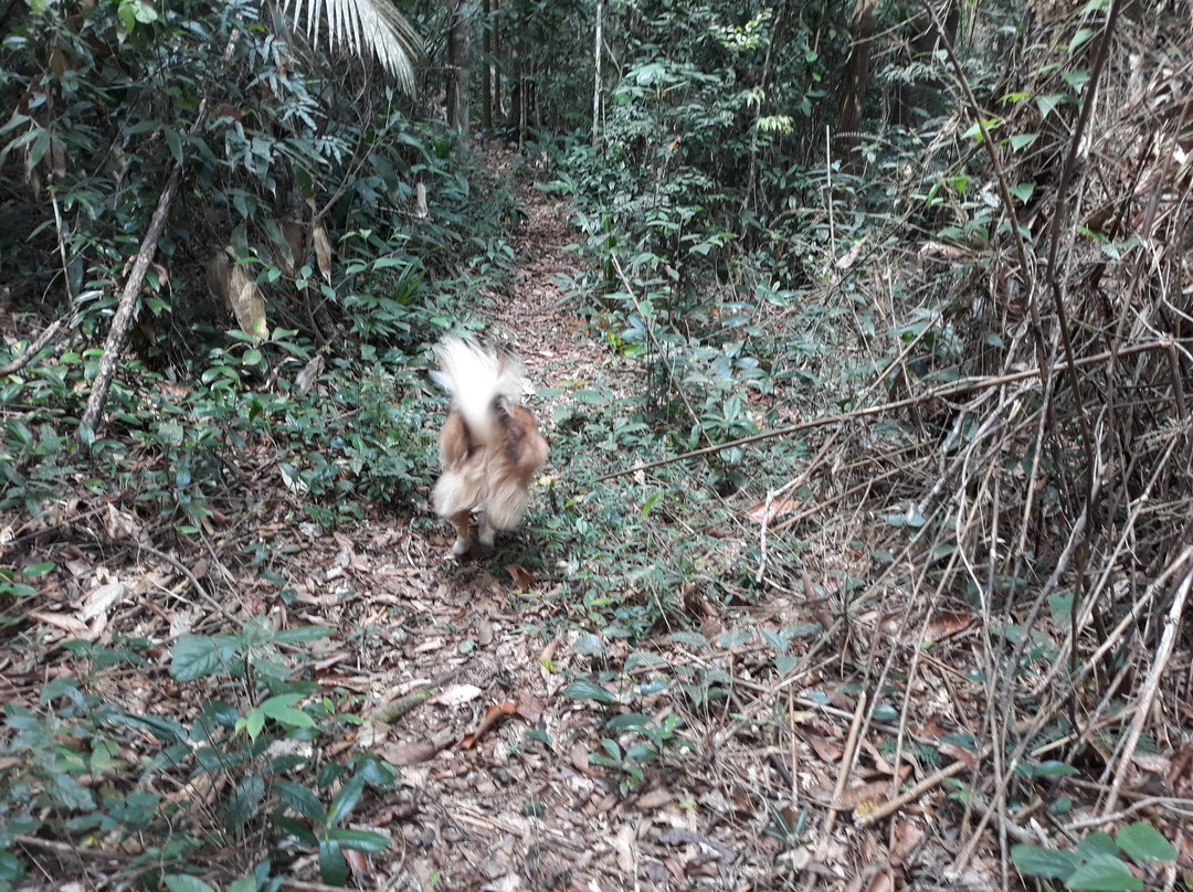 Pousada Arapassu主图