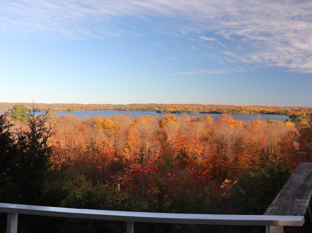 Stouffer Mill Bed & Breakfast主图