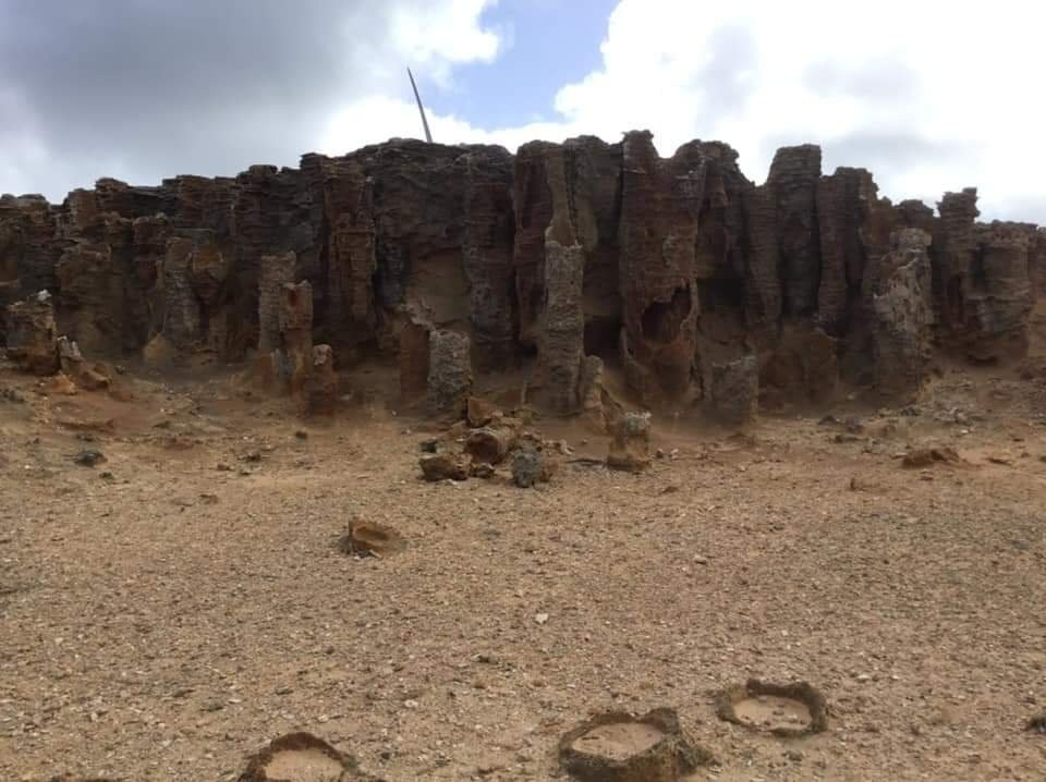 Petrified Forest and Blowholes-Cape Bridgewater必去景点