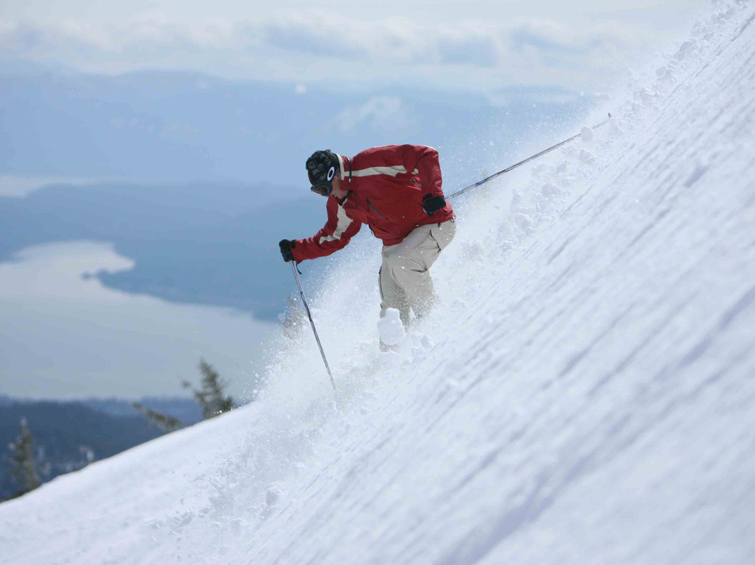 桑德波恩特盖斯特豪斯小屋酒店主图