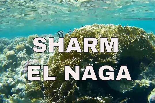 Got Your Guides-Safaga必去景点