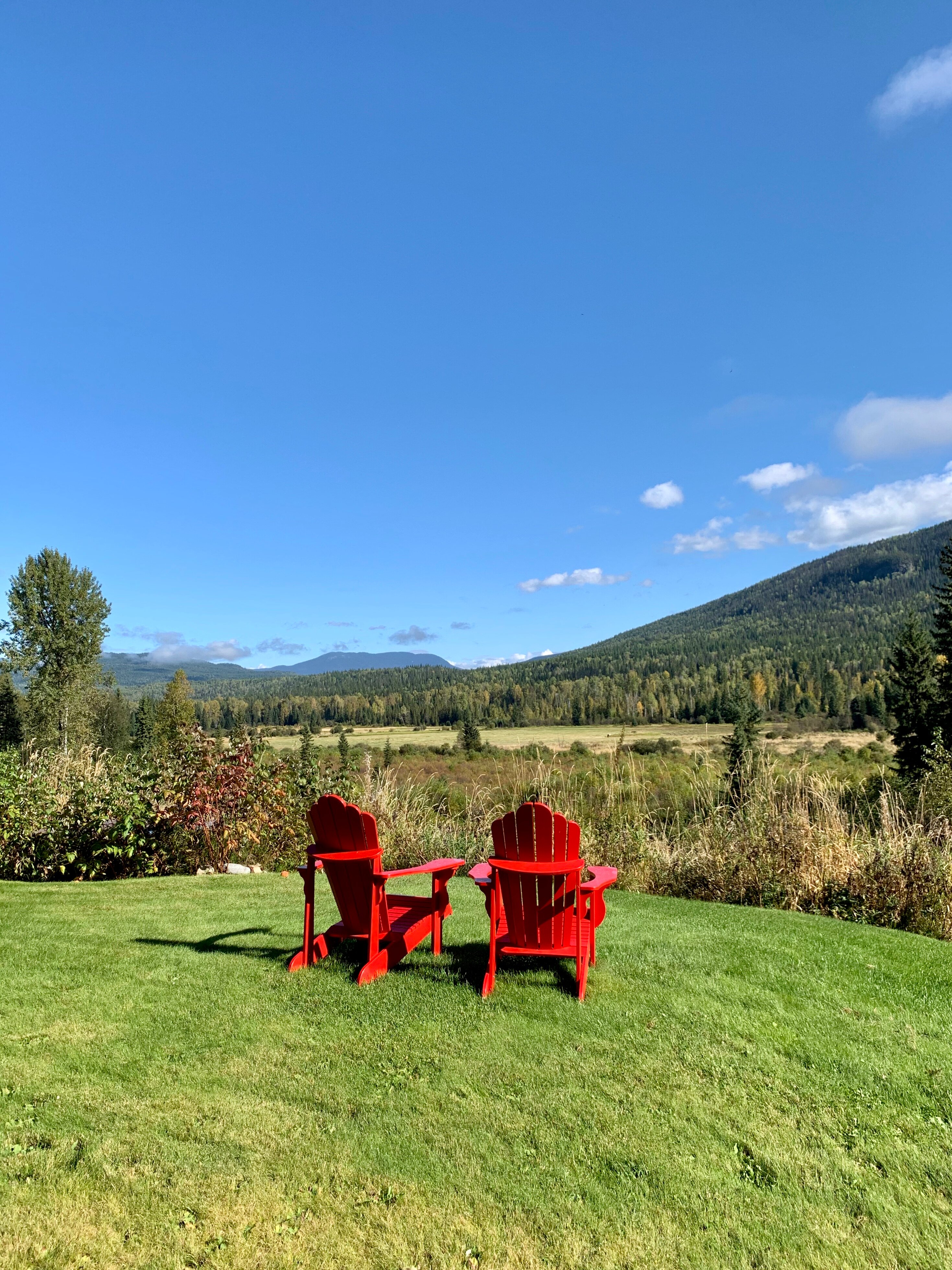 Clearwater Springs Ranch-浴室