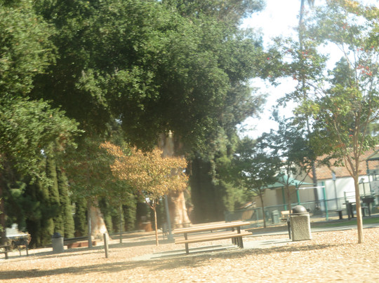 Martin Murphy Junior Park-森尼韦尔必去景点