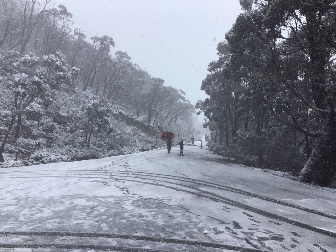 Mt William-贺思盖必去景点