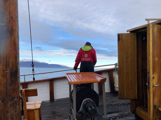 北方航行——胡萨维克观鲸-胡萨维克必去景点