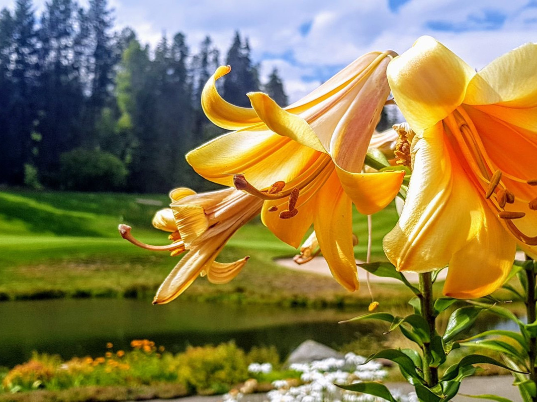 Trickle Creek Golf Resort景点图片