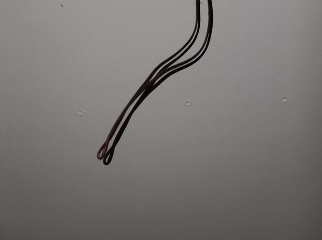 Catalina Court主图