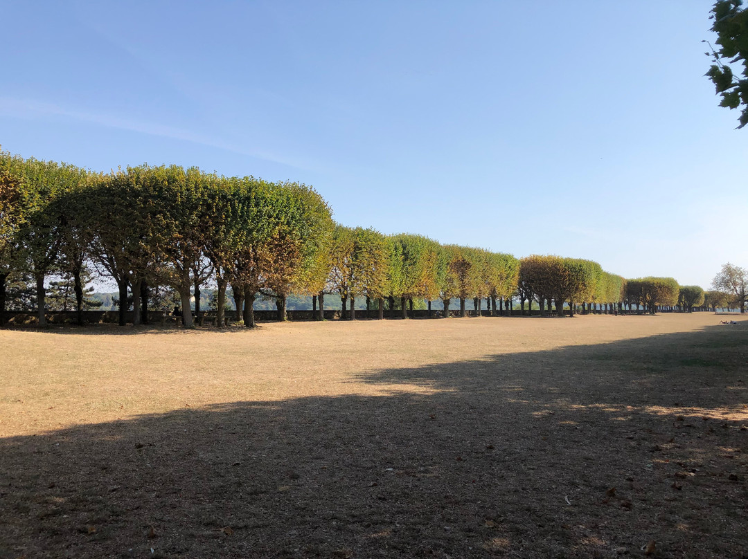 Terrasse de l'Observatoire de Meudon景点图片