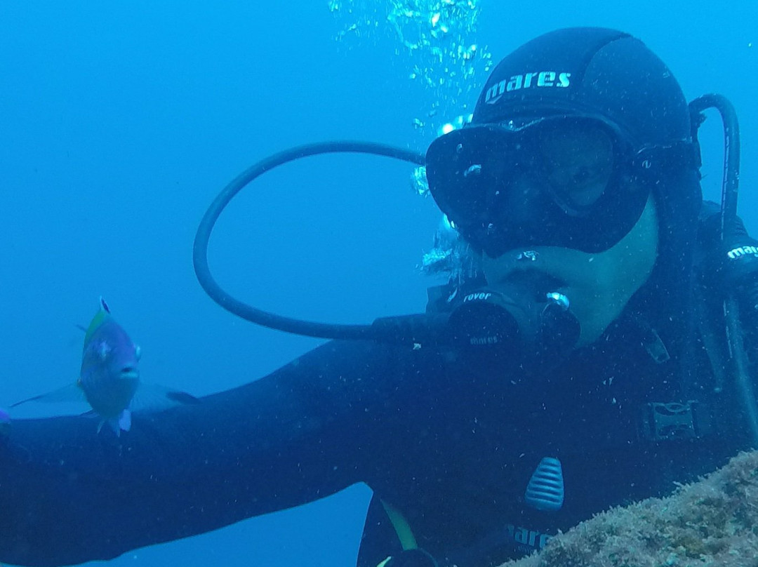 Deep Blue Azores Diving Center-亚速尔群岛英雄港中心区必去景点