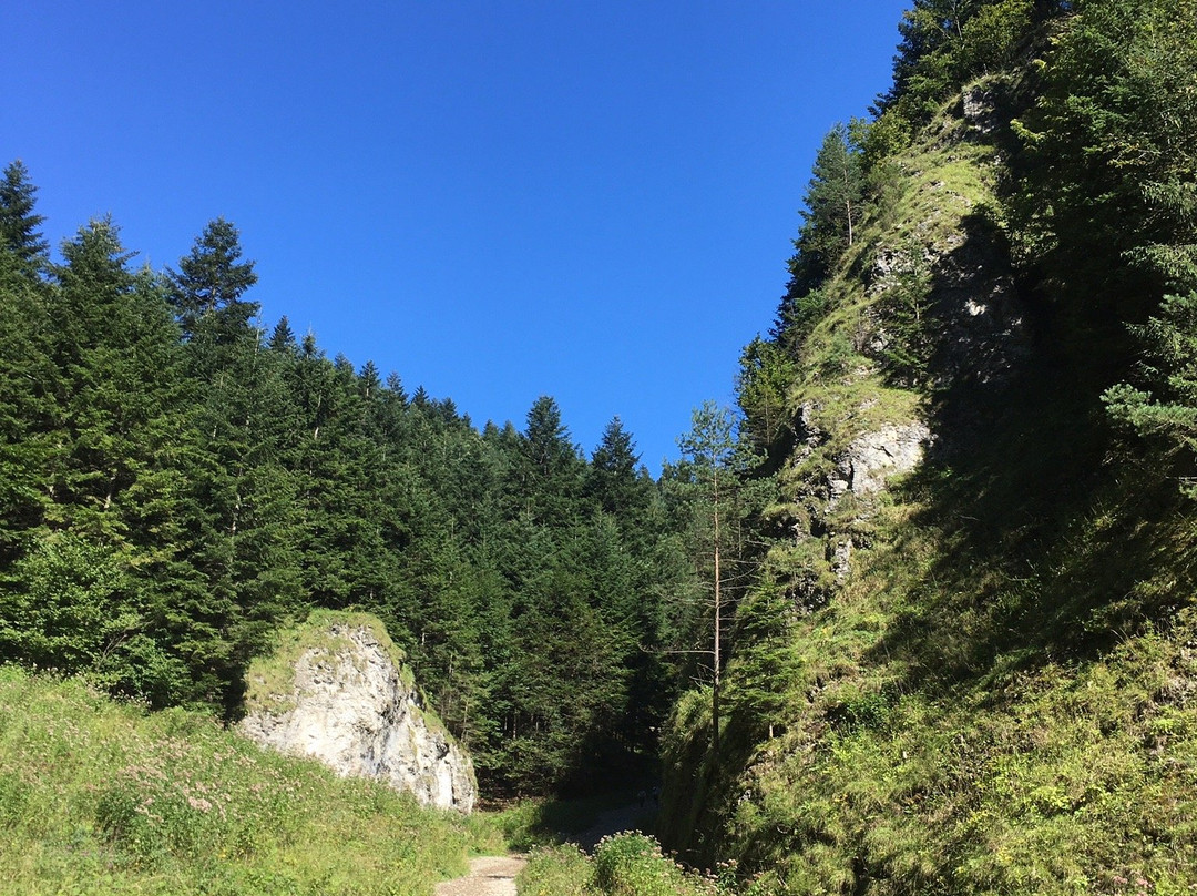 Szopczanski Gorge景点图片