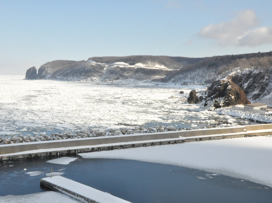 知床大酒店主图