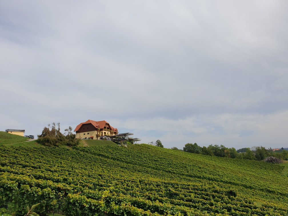 Weingut Gasthof Mahorko主图