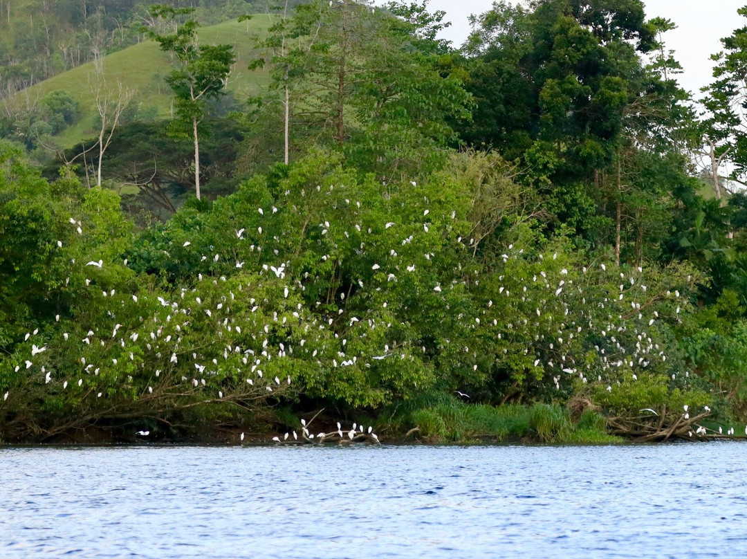 Daintree Boatman Wildlife Cruises-Daintree必去景点