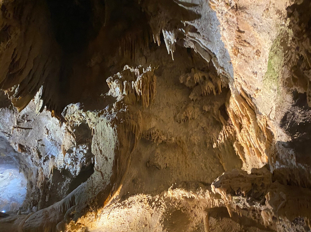 Shasta Lake-沙斯塔湖必去景点