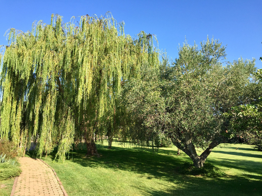 Podere Turicchio主图