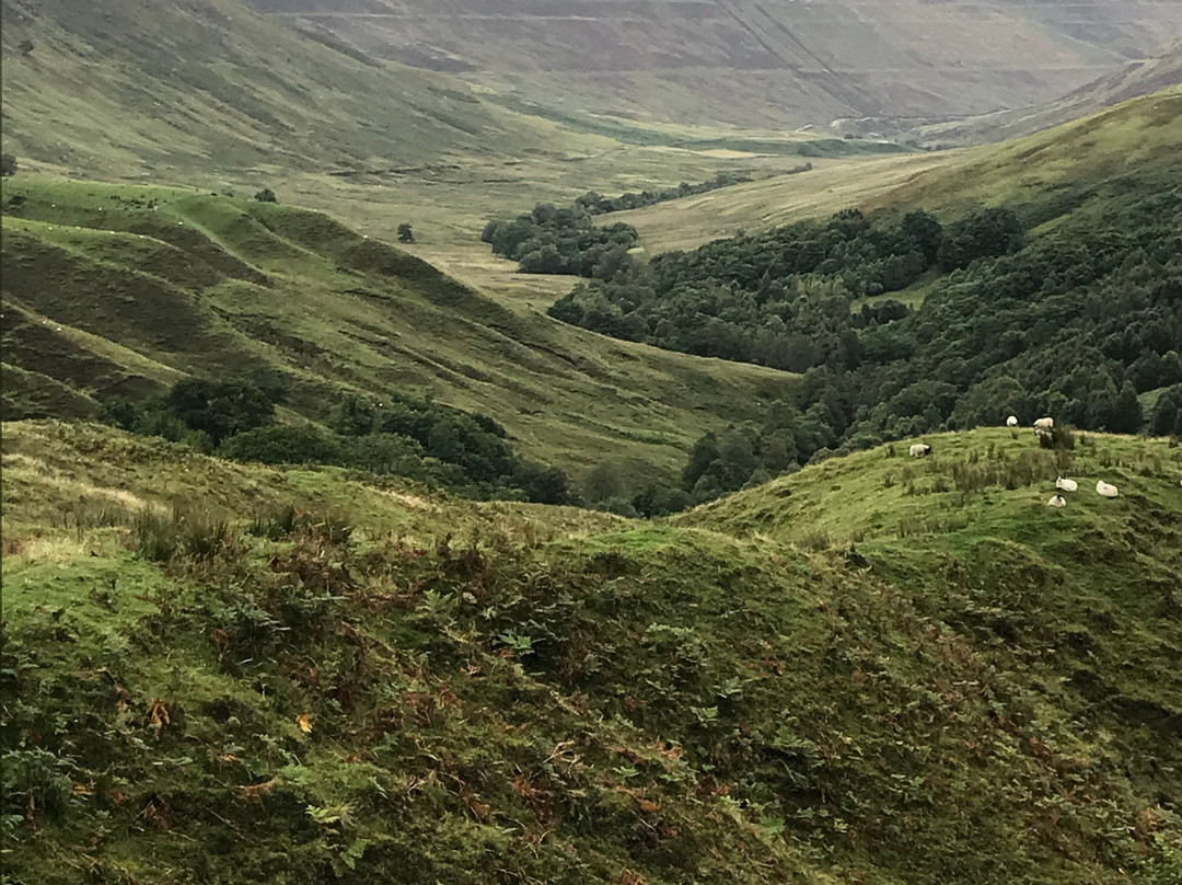 Glen Roy National Nature Reserve-Roybridge必去景点