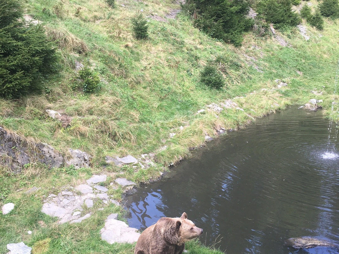 Der wilde Berg-Mautern in Steiermark必去景点