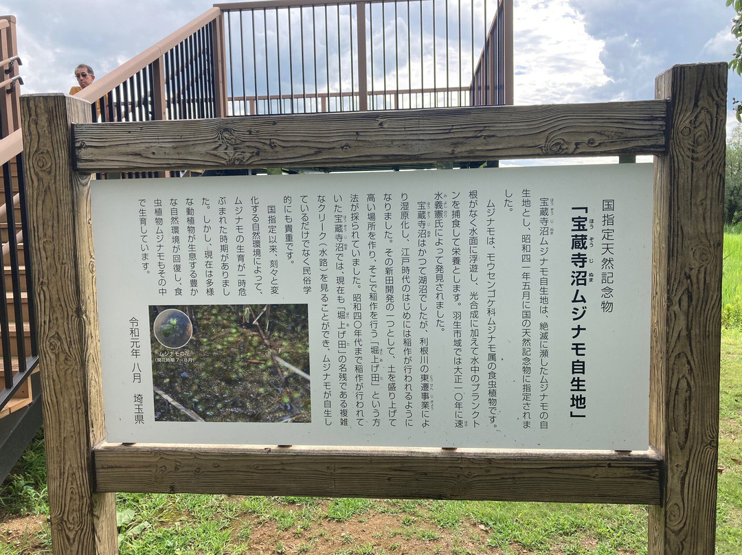 Saitama Aquarium-羽生市必去景点