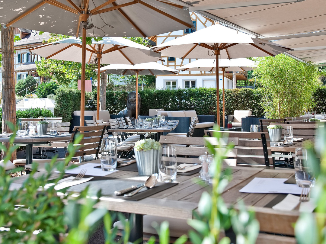 Hotel Restaurant Löwen Dielsdorf主图