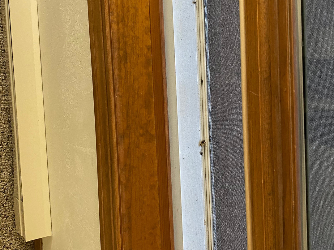 Bridgeport Waterfront Resort主图