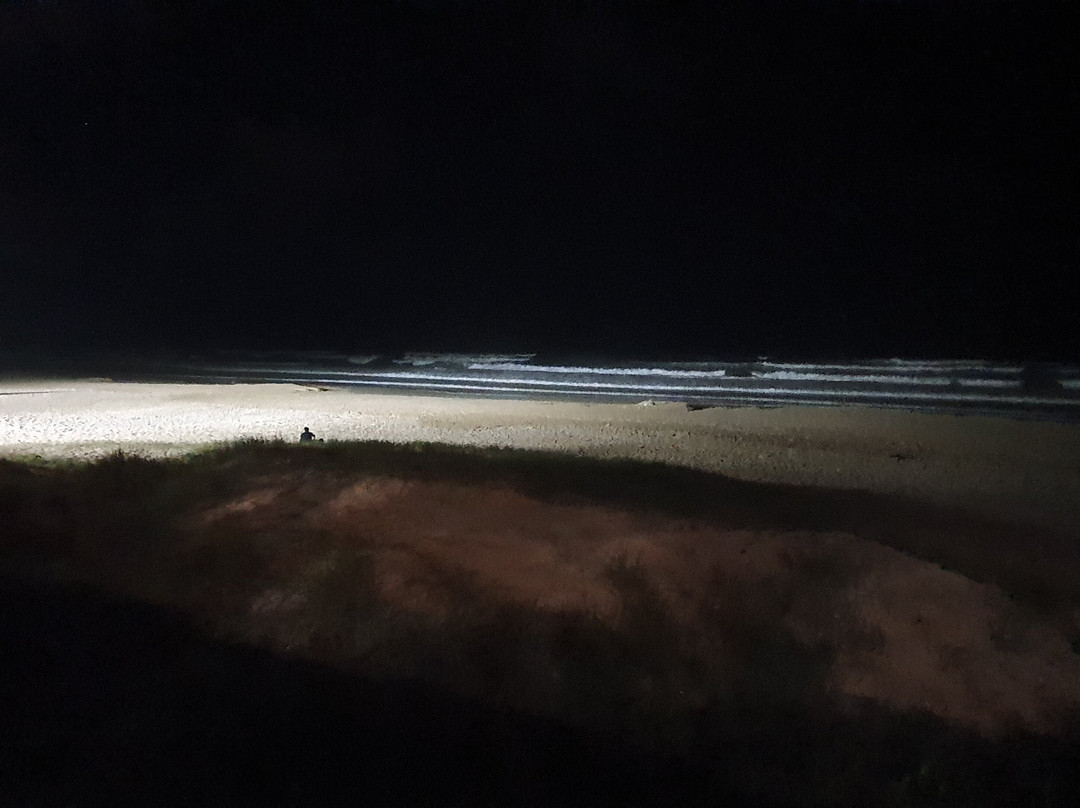 North Burleigh Beach-Miami必去景点